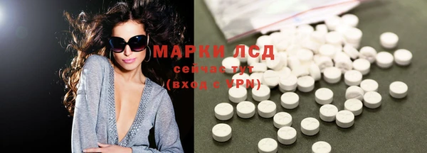 прущие грибы Алексеевка