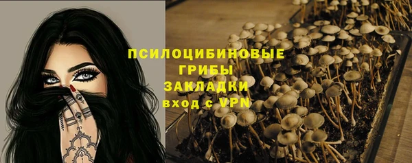 прущие грибы Алексеевка